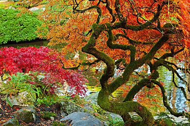 《生化危机9》原本是在线游戏＆开放世界 但后来改成了传统单机